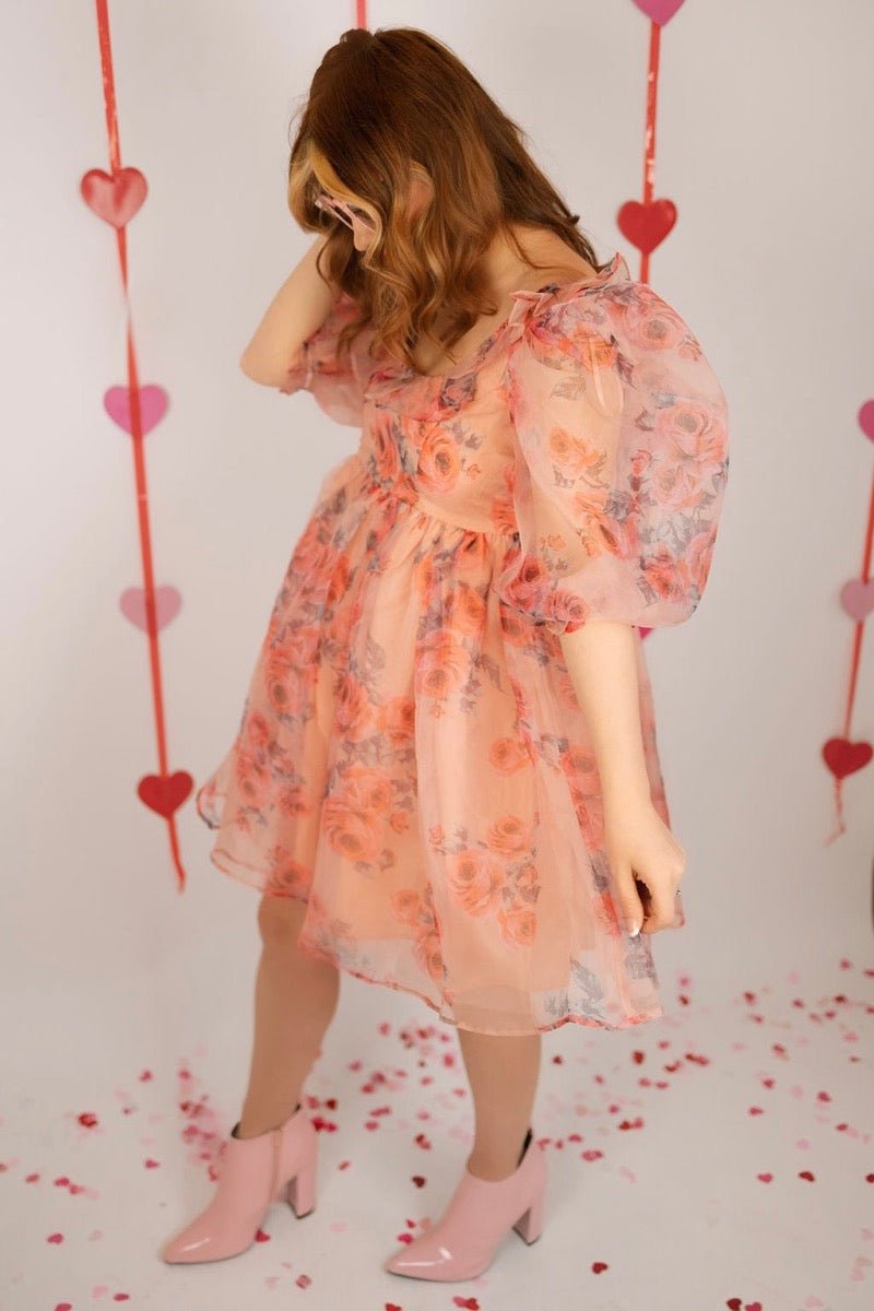 Taylor rose floral organza ruffle sleeve babydoll dress Taylor rose floral organza ruffle sleeve babydoll dress