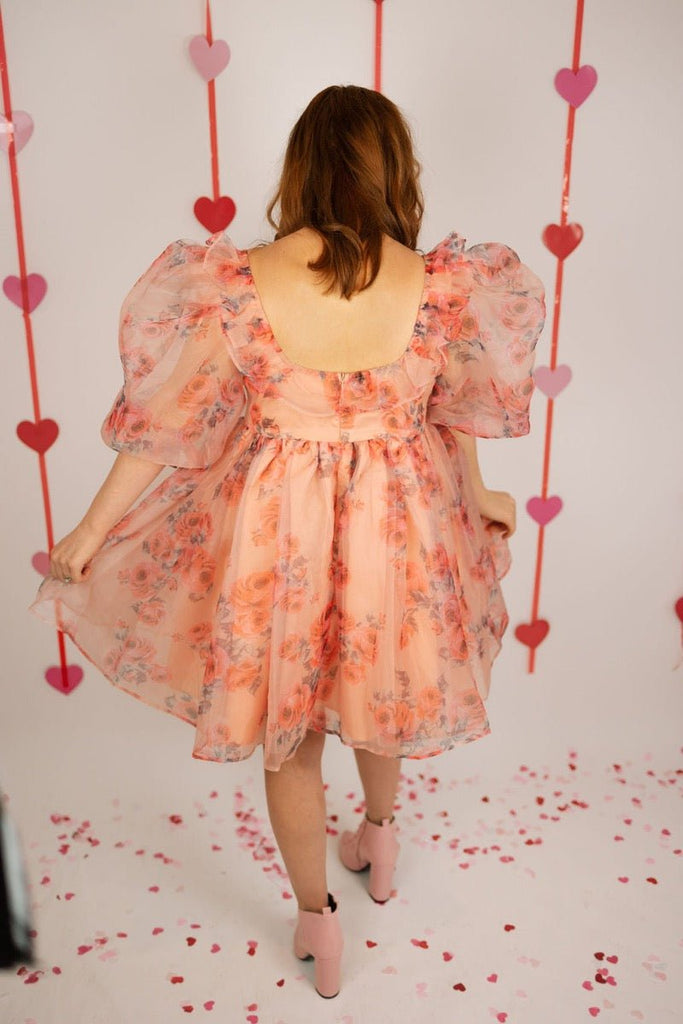 Taylor rose floral organza ruffle sleeve babydoll dress - June Seventh Boutique